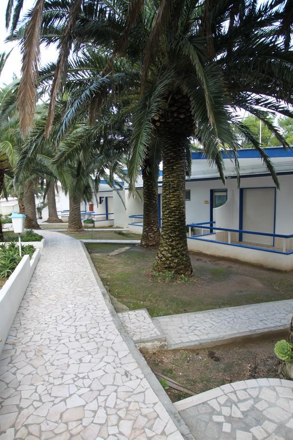 Hotel Gabbiano سان دومينو المظهر الخارجي الصورة